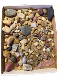 Rocks And Minerals In Storage Box