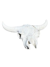 30-Inch Wide Bovine Skull With Horns