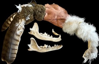 Tribal /  Ritual Feathers Jawbone & Hide