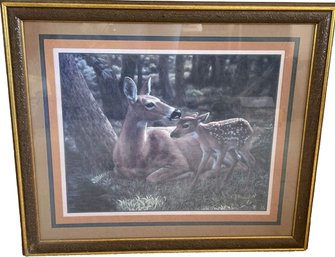 CS Forest Dear & Fawn Framed & Signed Print 23 H X 27 W