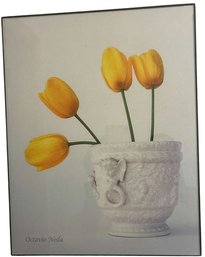 Framed Flower In A Vase By Octavia Noda Wall Art Print, 14'H