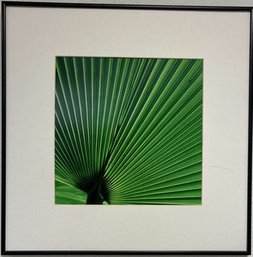 Framed Green Leaf Botanical Print Wall Art - 19.5'H