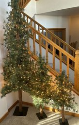 3 Artificial Pine Trees With Lights, Includes Plug With Switch, Tallest Is 7 Foot