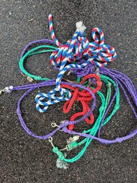 Horse Lead Ropes And Halters