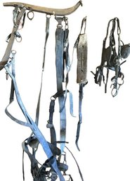 Horse / Cow Tack