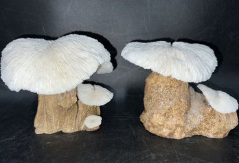 (2) Natural Coral Mushroom Sculptures 4-5'long Each