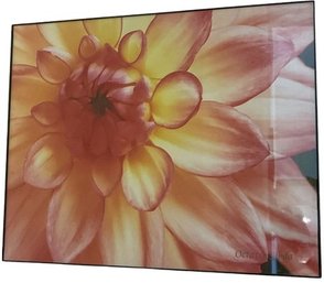 Framed Flower Wall Art Decor By Octavia Noda - 16'H