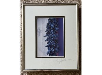 Hanging Dried Peppers Photograph Signed By Artist Greg Schlack Matted And Framed (10 X 12)