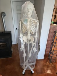 033- SCIENCE SKELETON FIGURE MODEL