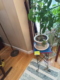 032 - PLANT STAND AND PLANT