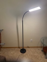 Floor LED Lamp With Remote And Lighting Options