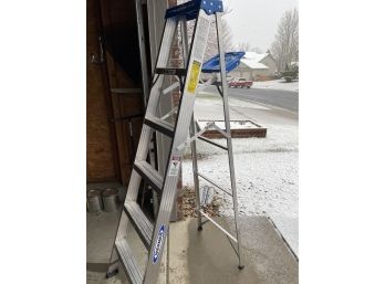 6 Ladder And Step Stool