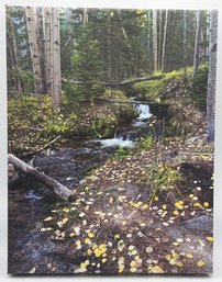 Photograph Of Waterfall In Aspen Forest On Canvas