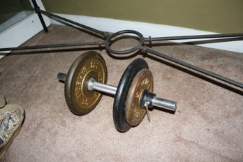 Adjustable Dumbbell With Removable Weight Plates  Home Gym Free Weight