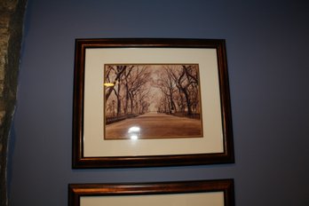 Sepia-Toned Central Park The Mall Framed Photographic Print
