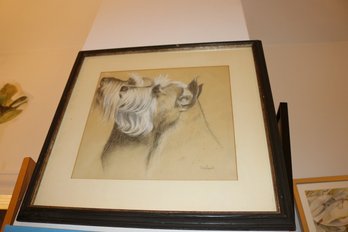 Framed Schnauzer Profile Portrait Sketch Signed Trenchard