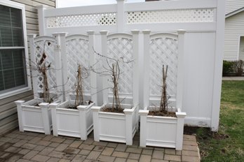 Set Of 4 Planter Boxes With Plants And Dirt Inside