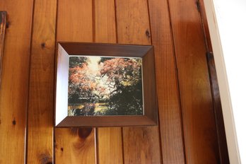 Kurt Shaffer A Secret Pond Framed Landscape Photograph