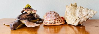 Seashells And Plastic Sea Turtles