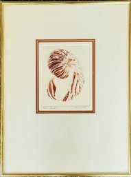 Nora K Fisher Nautilus