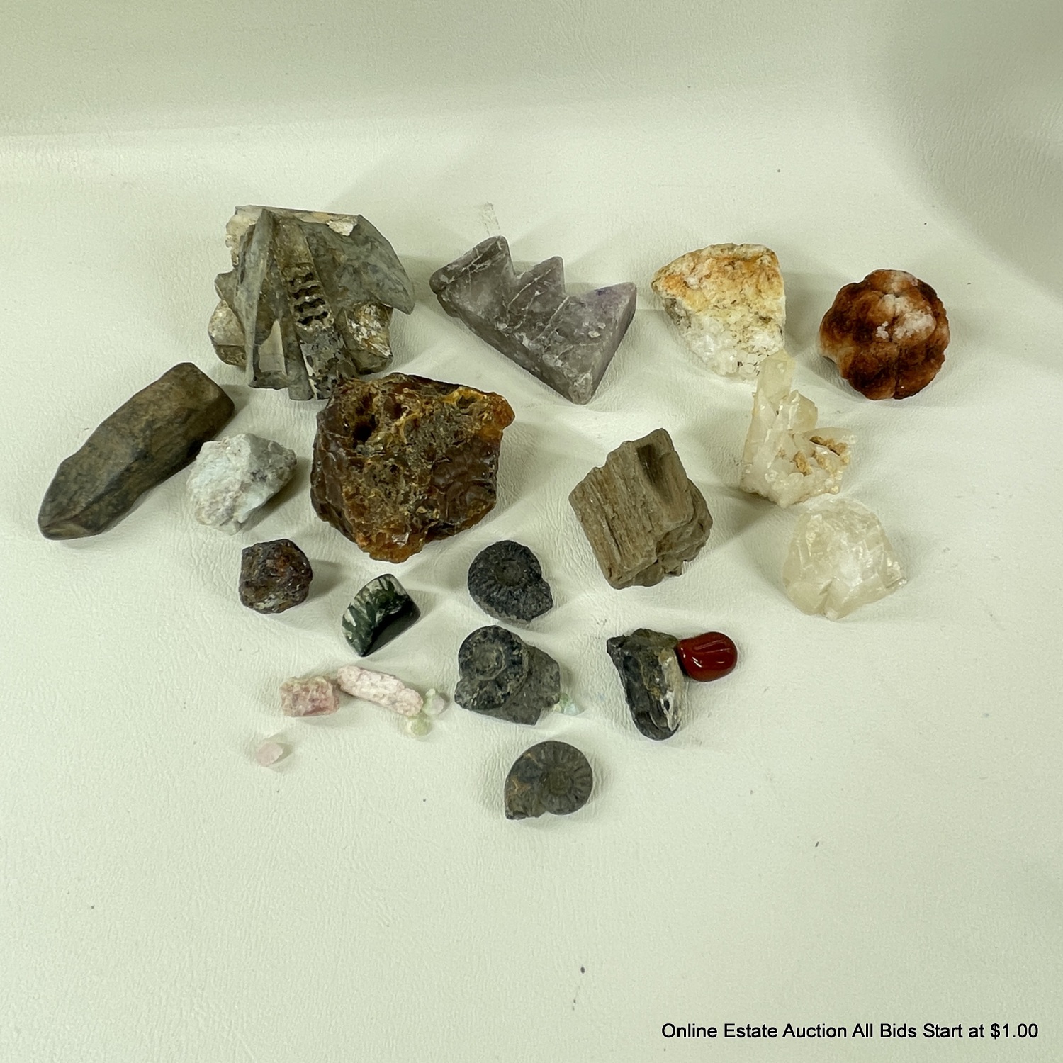 Lot Of Rocks Carnelian, Quartz Crystals, Petrified Wood, Geode And More ...