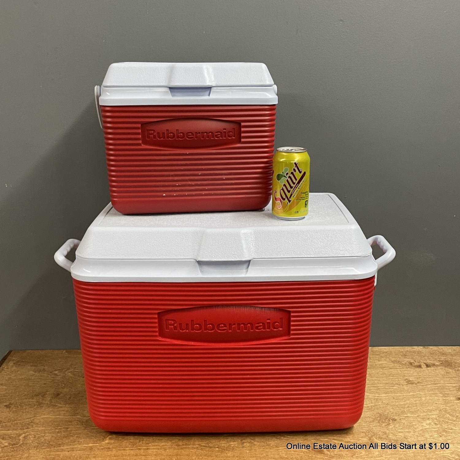 Rubbermaid Victory 48 Quart Hard-sided Cooler With Matching Mini