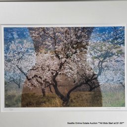 Marie Plakos Original Photographic Collage, Signed, Edition: 1/50, 16.25' X 20.25' Framed