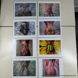 Marie Plakos Lot Of Eight Original Photographs 'The Feminine Speaks' Signed And Numbered #2/50 Circa 2019