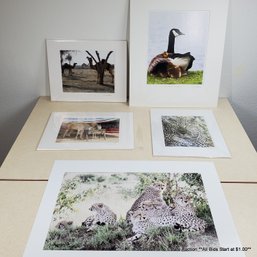 Marie Plakos Lot Of Five Original Photographs - Featuring Various Animals