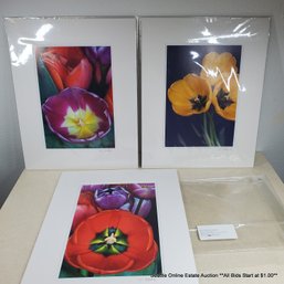 Marie Plakos Three Original Photographs 'Flower Series' Signed - Featuring Tulips