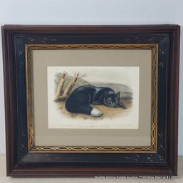 J.W. Audubon Antique Hand-Colored Lithograph Printed By J.T. Bowen 'American Black Or Silver Fox', Framed