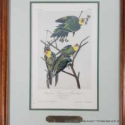 J.J. Audubon Hand-Colored Print 'Carolina Parrot Or Parrakeet' COA - Heritage Collector's Society, Framed