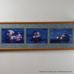 Richard Jackson Photography 'Sea Otter- Elkhorn Slough, Monterey' Signed & Dated 2000 #54/500 With COA, Framed