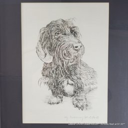 H. Block Original Etching Of A Wire-haired Dachshund , Pencil Signed, 21' X 16.50' Framed