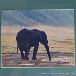 Mike Walle Original Photograph Of An Elephant Taken In Ngorongoro Crater, Tanzania, In 1994, Framed