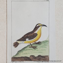 Georges-Louis Leclerc Antique 18th-Century Hand-Colored Engraving 'B. Der Martiniksche Zuckerfresser, P. 126'
