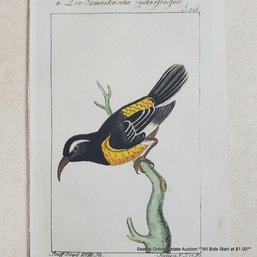 Georges-Louis Leclerc Antique 18th-Century Hand-Colored Engraving 'A. Der Jamaikanische Zuckerfresser, P. 126'