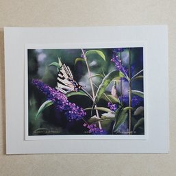 Lori Aylesworth Limited Edition Print 'Swallowtail & Butterfly Bush' #16/500, Signed