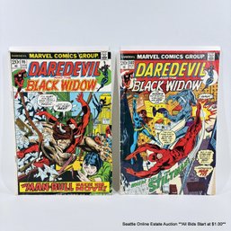 2 Marvel Daredevil And The Black Widow Comic Book No. 95, 102 With 20 Cent Price Cover