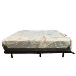 Tempur-Ergo Power Base Queen Bed And With Tempur-Pedic Luxe Adapt Firm Queen Mattress (LOCAL PICK UP ONLY)