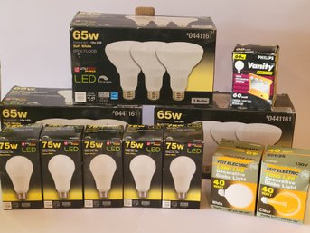 Utilitech Flood Lights LED Bulbs And Globe Lights