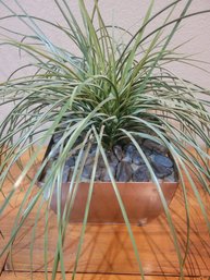 Artificial Plantin Bronze Tin