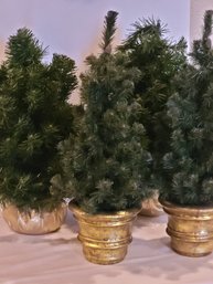 Small Christmas Trees