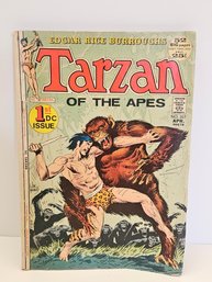 Vtg 1972 Tarzan Of The Apes Comic 1st DC Issue