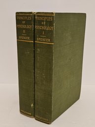 Antique 1897 Principles Of Psychology Books Vol 1 & 2