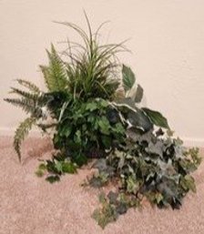 2 Artificial Plants In Decorative Planter/ Pot