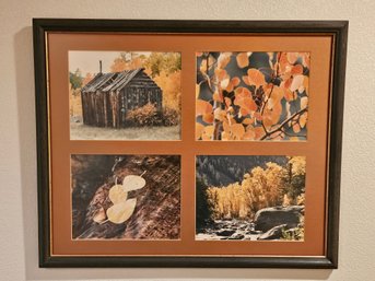 Framed Matted Nature Photography