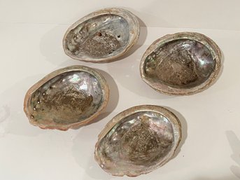4 Natural Abalone Shells