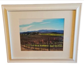 White Framed Vineyard Print