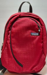 Patagonia Light Wire BackPack